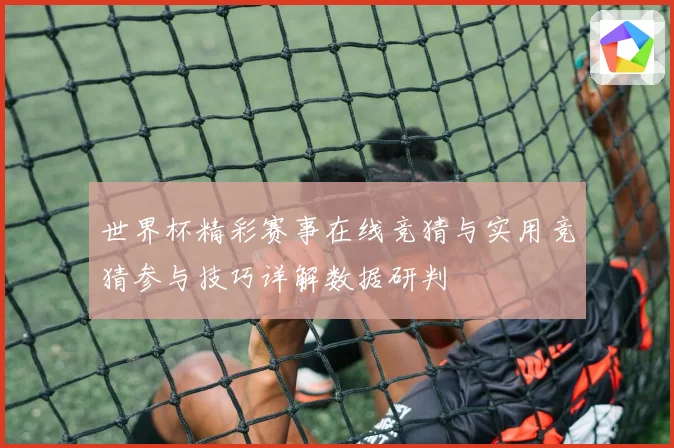 世界杯精彩赛事在线竞猜与实用竞猜参与技巧详解数据研判