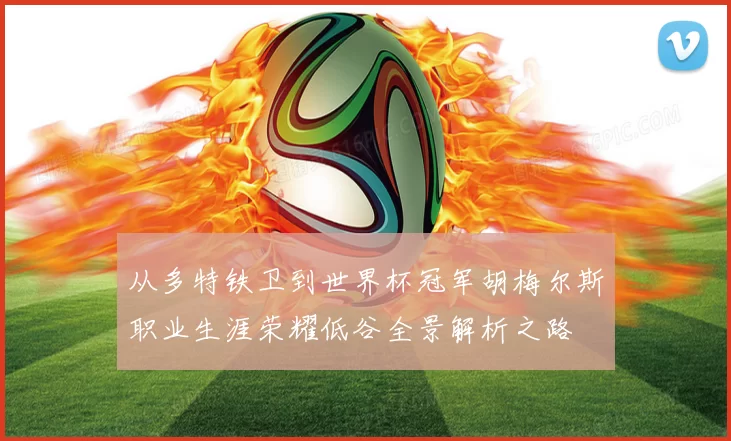 从多特铁卫到世界杯冠军胡梅尔斯职业生涯荣耀低谷全景解析之路