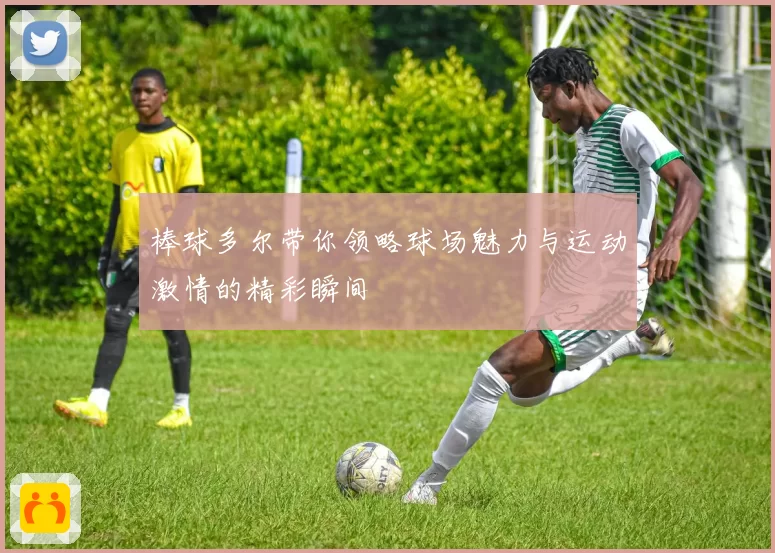 棒球多尔带你领略球场魅力与运动激情的精彩瞬间
