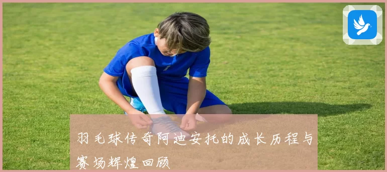 羽毛球传奇阿迪安托的成长历程与赛场辉煌回顾