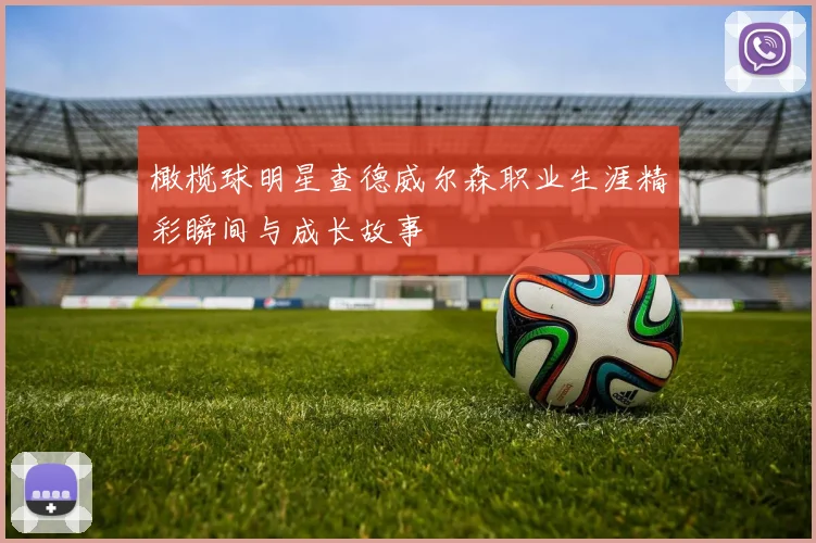 橄榄球明星查德威尔森职业生涯精彩瞬间与成长故事