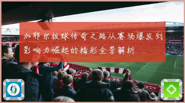 加耶尔板球传奇之路从赛场爆发到影响力崛起的精彩全景解析